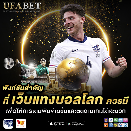 ฟังก์ชันสำคัญ ที่ เว็บแทงบอลโลก